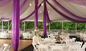 A fun, festive reception area with elegant floral centerpieces and purple details back-lit by twinkle lights.