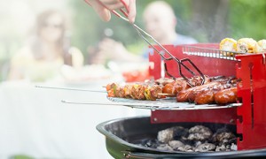 Grill kebabs, corn, and vegetables at your next family reunion or company picnic.