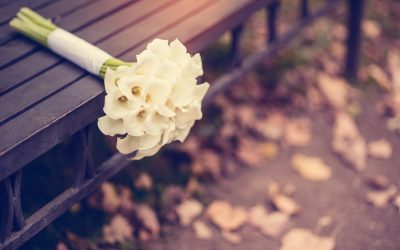 How To Prepare For Your Memphis Wedding: Season Breakdown