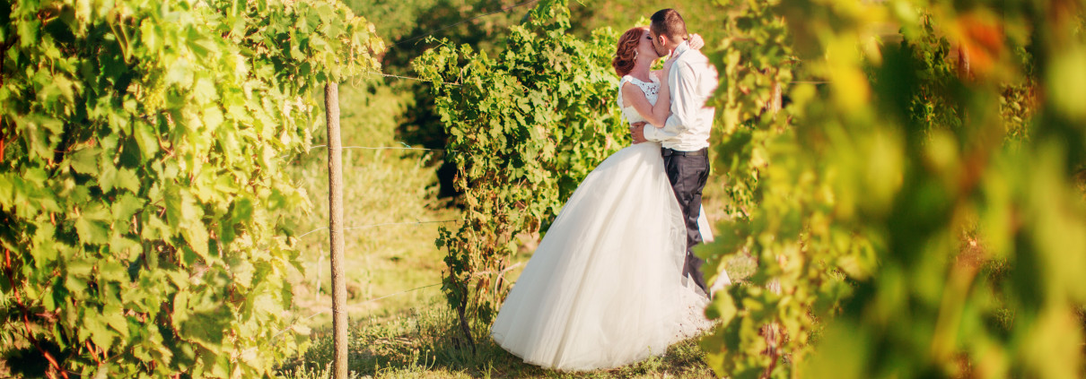 A couple in a vineyard on their wedding day.