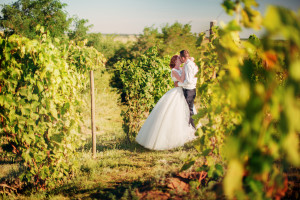 A couple in a vineyard on their wedding day.