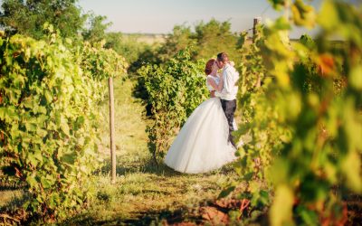 Outdoor Wedding Venues in Memphis Tn